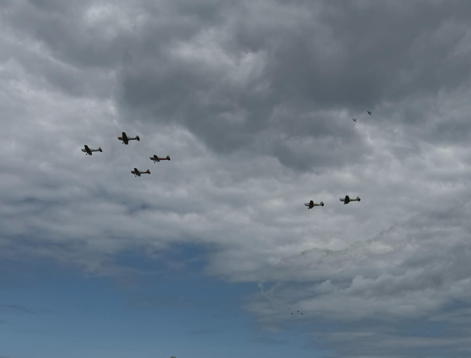 A formation of Chipmunks in the airshow (mostly the British variant)